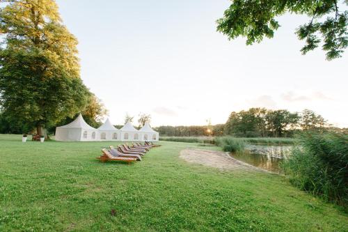 a row of chairs sitting on the grass next to a lake at Hotel Schloss & Gut Ulrichshusen in Ulrichshusen