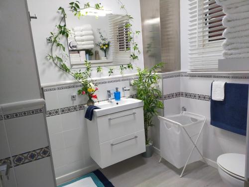 een badkamer met een wastafel en een toilet bij Playa Monis 1 in Icod de los Vinos
