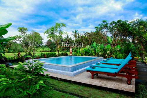 uma piscina com duas espreguiçadeiras azuis ao lado em The Dukuh Retreat em Tabanan