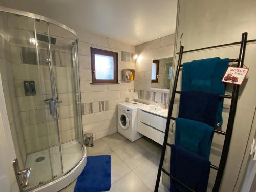 a bathroom with a shower and a washing machine at Mallo's Lodge avec Parking GRATUIT et 2 balcons in Colmar