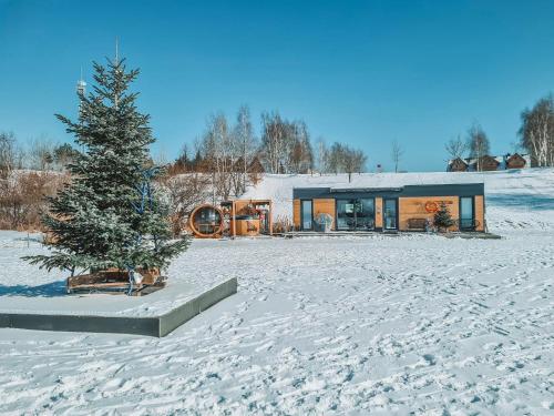 a house with a christmas tree in the snow at Costa del Kryspi Całoroczne Domy na Wodzie in Cholerzyn