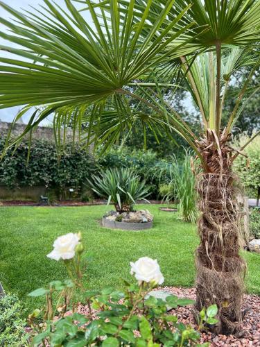 a palm tree in a garden with white roses at L'attente détente à 200 m du parc " Pairi Daiza " in Brugelette