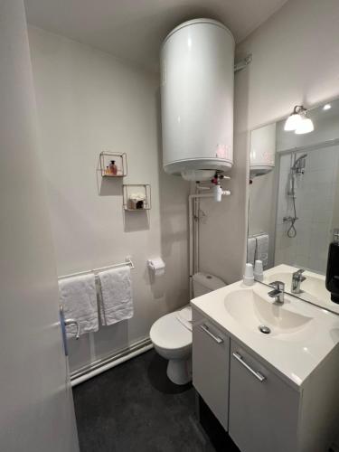 une salle de bain blanche avec des toilettes et un lavabo dans l'établissement Studio Av République avec parking (B), à Clermont-Ferrand