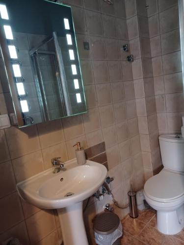 een badkamer met een wastafel, een toilet en een spiegel bij Guest Room in Serres