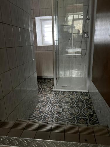 baño con ducha y puerta de cristal en Haus Hochwald, en Hermeskeil