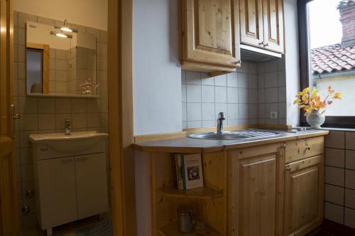 a small kitchen with a sink and a sink at Apartmaji in sobe Marija Jera Štanjel in Štanjel