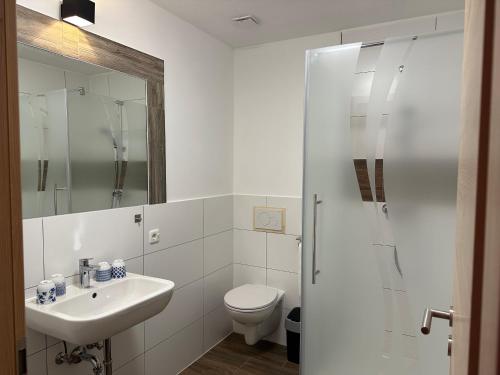 a bathroom with a sink and a toilet and a mirror at Maiers Hotel in Bayerisch Eisenstein