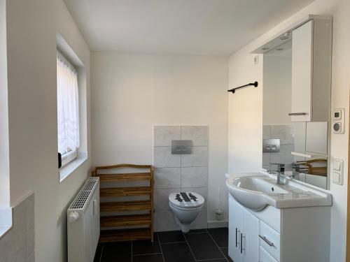 La salle de bains blanche est pourvue d'un lavabo et de toilettes. dans l'établissement Ferienwohnung Frieda Thüringen, à Brotterode