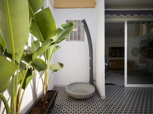 ein Zimmer mit einer Pflanze auf dem Boden neben einer Tür in der Unterkunft Cosmopolitan Design By CanariasGetaway in Las Palmas de Gran Canaria