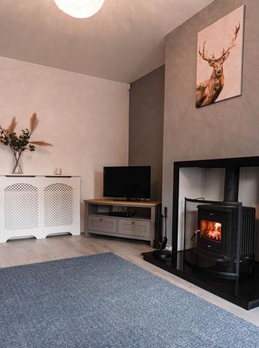 a living room with a fireplace and a tv at Glen Burren House in Newcastle