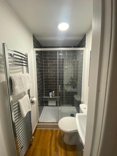 a bathroom with a shower and a toilet and a sink at cosy 1 bed flat Largs in Largs