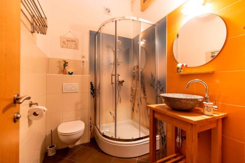 a bathroom with a shower and a toilet and a sink at Panorama Apartment Bauernhof Mandl in Murau