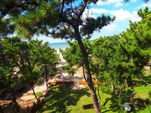 El plano del piso de Apart El Mar