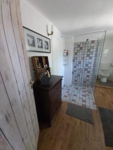 uma casa de banho com um chuveiro, um lavatório e um WC. em Józsa Tanya em Cegléd
