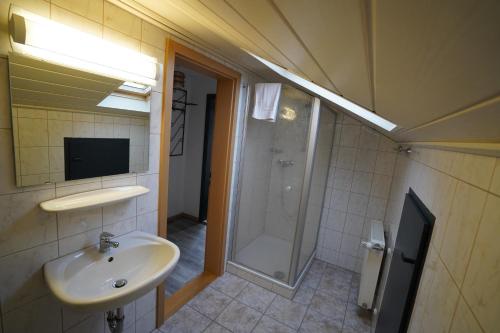 a bathroom with a sink and a shower at Brandthausen - Ferienwohnungen Familie Brandt in Heidersdorf