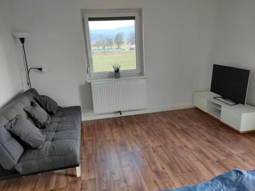 a living room with a couch and a television at Ferienwohnung ländlich und in Seenähe in Schörfling
