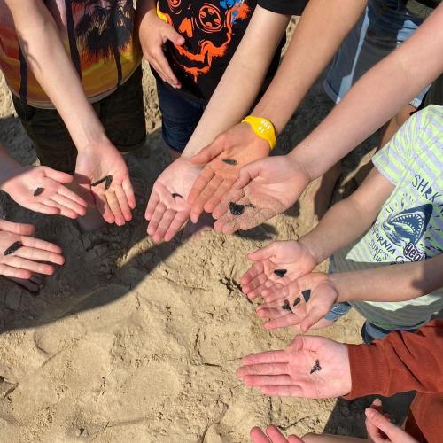 a group of people holding their hands in the sand at Zonneweelde, Vakantie aan Zee in Nieuwvliet-Bad