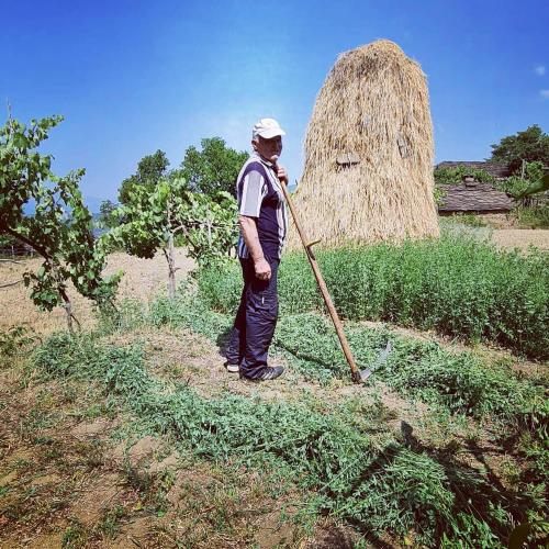 a man with a rake in a field at Funky Guest House & Adventures in Përmet
