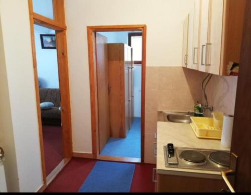 una cucina con un lavandino e una porta che dà su una stanza di Mountain Flower a Jahorina