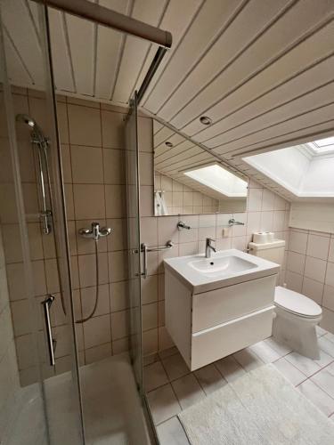 y baño con lavabo, ducha y aseo. en Apartmenthaus Rapplhof en Haus im Ennstal