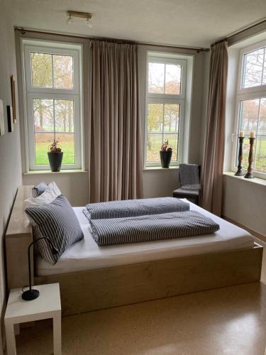 Sellingen的住宿－bed en breakfast westerwolde，一间卧室设有一张大床和两个窗户