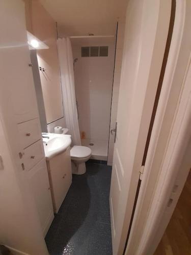 une petite salle de bain avec toilettes et lavabo dans l'établissement STUDIO PARIS BASTILLE, à Paris