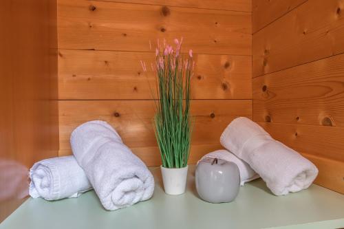 un estante con toallas y un jarrón con una planta en Därfli Appartements, en Sankt Gallenkirch