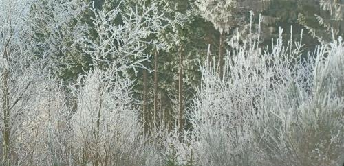 Naturlandschaft in der Nähe des Ferienhauses