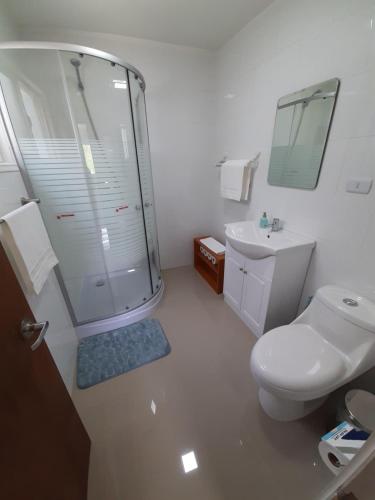 a bathroom with a shower and a toilet and a sink at Casa Grande, Alojamiento "BSA" in Cochrane