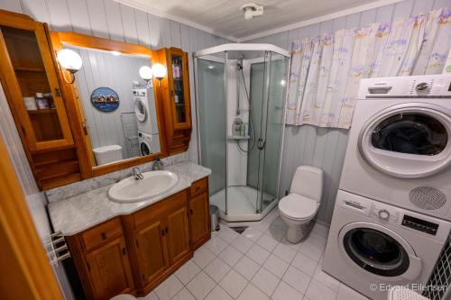 y baño con ducha, aseo y lavadora. en Cozy house on Sommarøy en Sommarøy