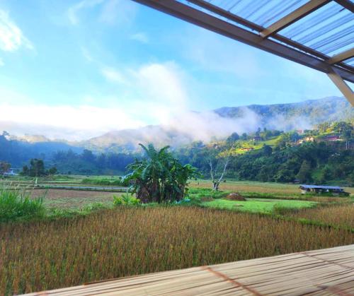 a view of a field with mountains in the background at สะปัน กลางนา คาเฟ่ Sapan Klang Na Cafe in Ban Huai Ti