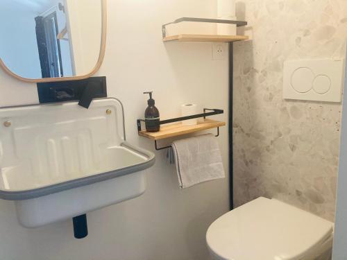 une salle de bain avec un lavabo, des toilettes et un miroir dans l'établissement Serene Sixteen - Valence Centre Ville, à Valence