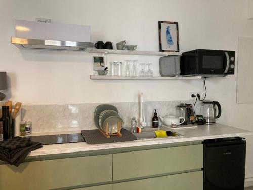 um balcão de cozinha com um lavatório e um micro-ondas em Serene Sixteen - Valence Centre Ville em Valence