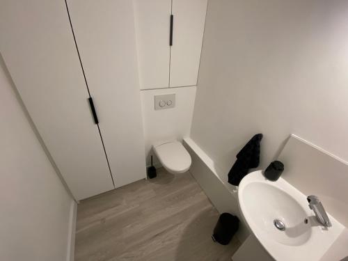 a white bathroom with a toilet and a sink at Magnifique appartement à deux pas du centre ville! in Quimper
