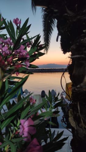 a view of a body of water with purple flowers at POPI 'S HOME in Skala Sotiros