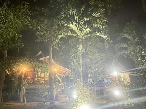 una palmera frente a un restaurante por la noche en Activities Resort, en Ko Yao Yai