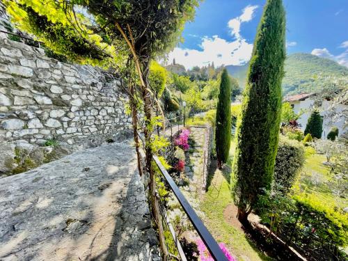 a tree in a garden next to a stone wall at Eden sul Lago di Como in Nesso