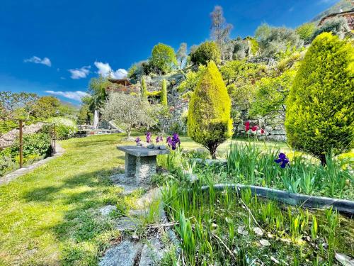 a bench in the middle of a garden at Eden sul Lago di Como in Nesso