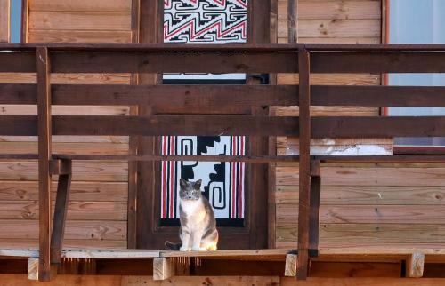 Fotografie z fotogalerie ubytování Ocho Aguilas Eco Lodge v destinaci Guanaqueros