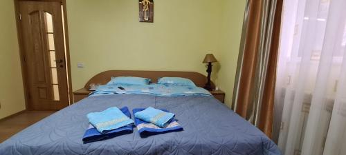 Postel nebo postele na pokoji v ubytování Vila cu Flori