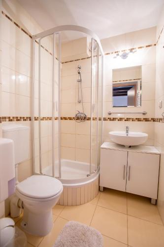 a bathroom with a shower and a toilet and a sink at Blanka in Rowy