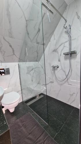 ein Bad mit einer Glasdusche und einem WC in der Unterkunft Casa Chiper - Attic apartment with view in Braşov