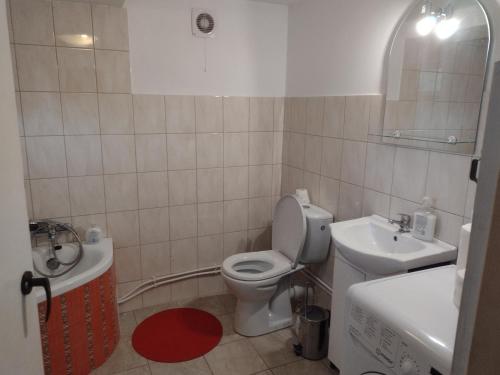 uma pequena casa de banho com WC e lavatório em Kolorowe Wzgórze agroturystyka i konie em Trojanów