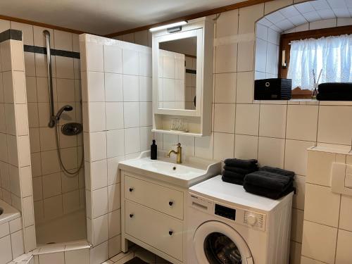 a bathroom with a washing machine and a sink at Biberhof im Mühlviertel 