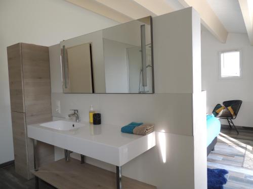 a bathroom with a white sink and a mirror at Laubertière in Marennes