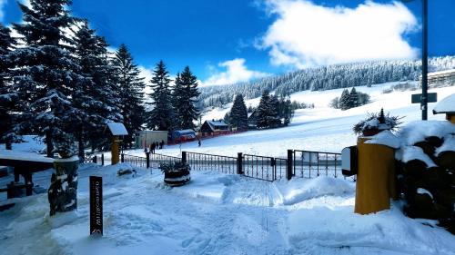 einen schneebedeckten Hang mit einem Zaun und Bäumen in der Unterkunft Ferienwohnung-direkt-am-skihang in Kurort Oberwiesenthal