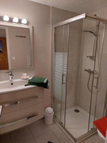 een badkamer met een douche en een wastafel bij Studio au pied des montagnes in Le Bourg-dʼOisans