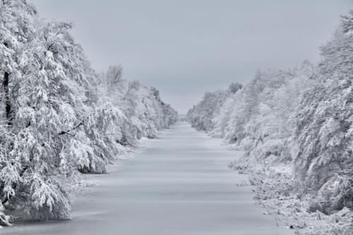 a long road lined with snow covered trees at Jaukūs ART stiliaus apartamentai antrame aukšte su vaizdu į marias in Svenele