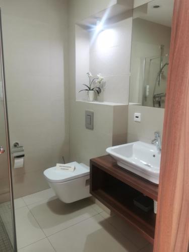 a bathroom with a toilet and a sink and a mirror at Apartament przy plaży in Międzyzdroje
