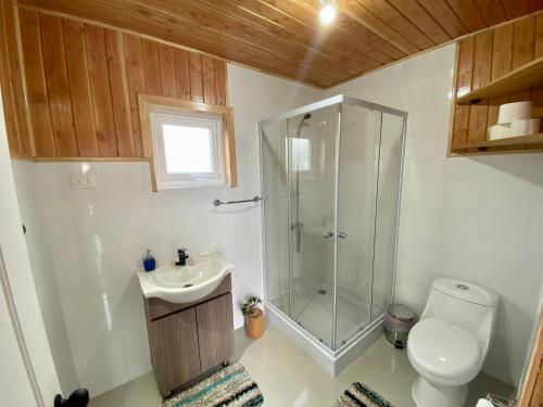 a bathroom with a shower and a toilet and a sink at Cabañas Pacífico - Faro Corona in Ancud